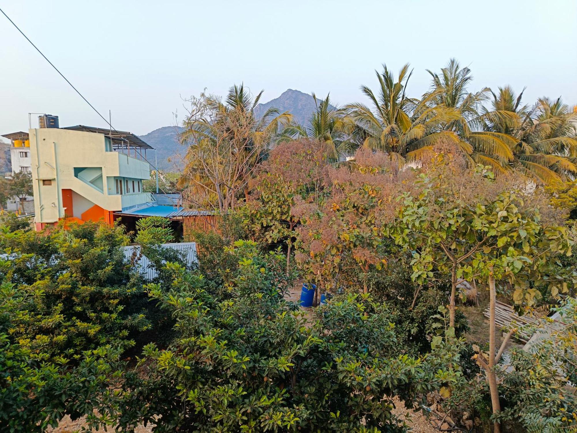 Abaranji Guest House Tiruvannāmalai Buitenkant foto